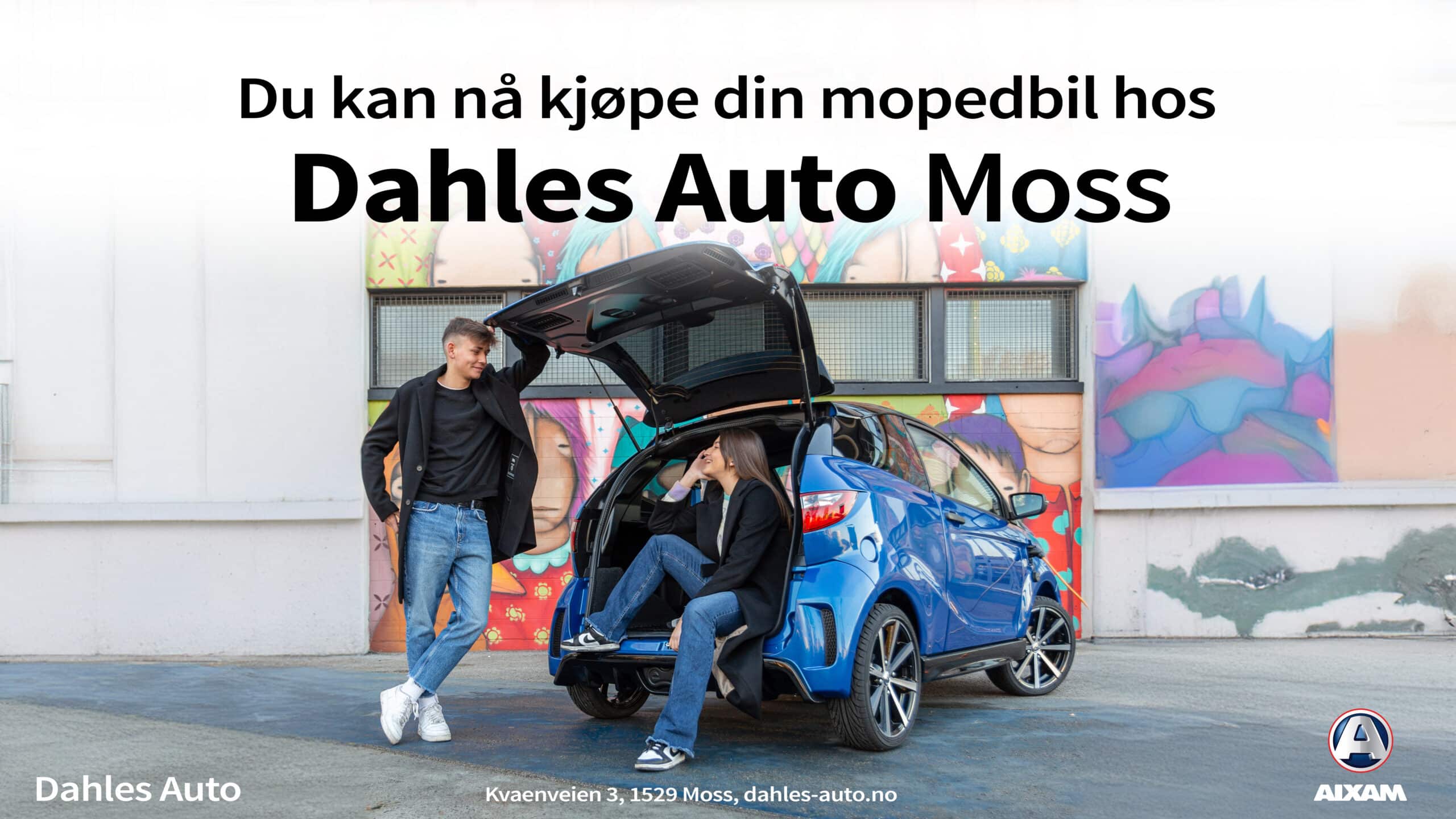 aixam-dahles-auto-moss